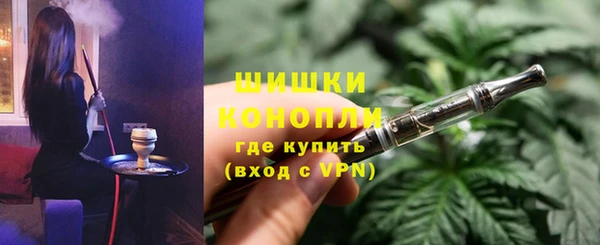 индика Арсеньев