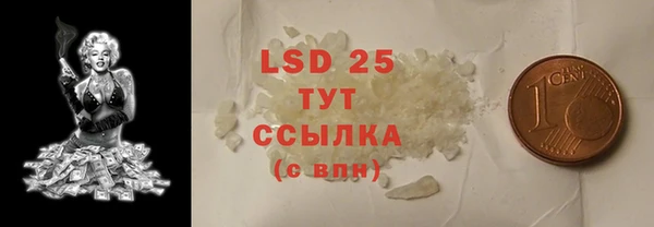 индика Арсеньев