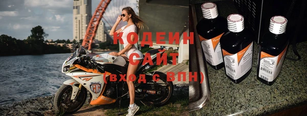 индика Арсеньев
