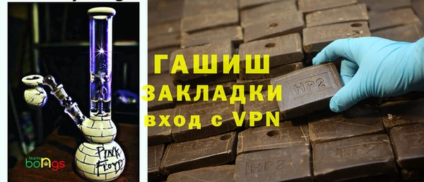 индика Арсеньев